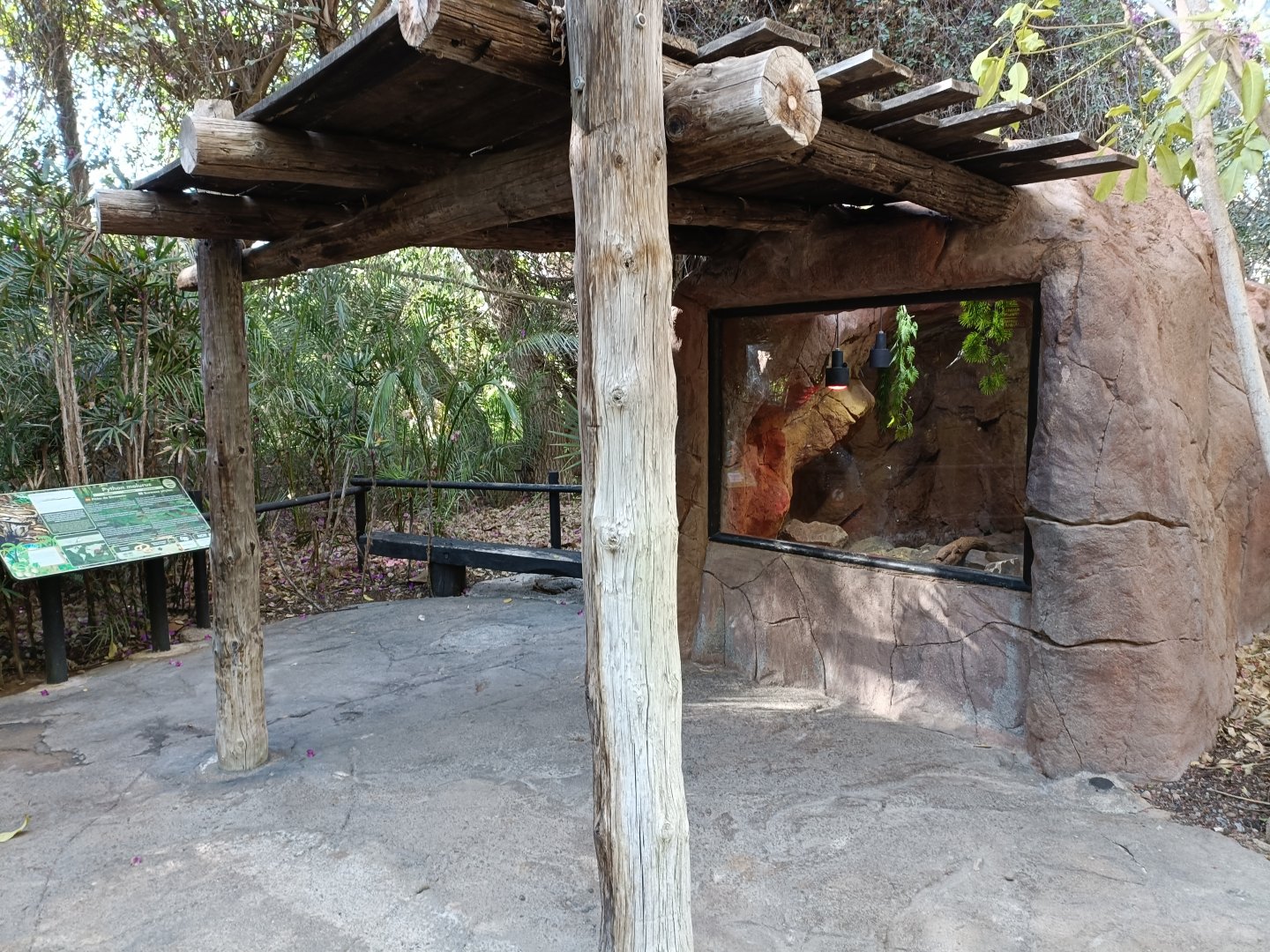 Viewing Burmese python exhibit