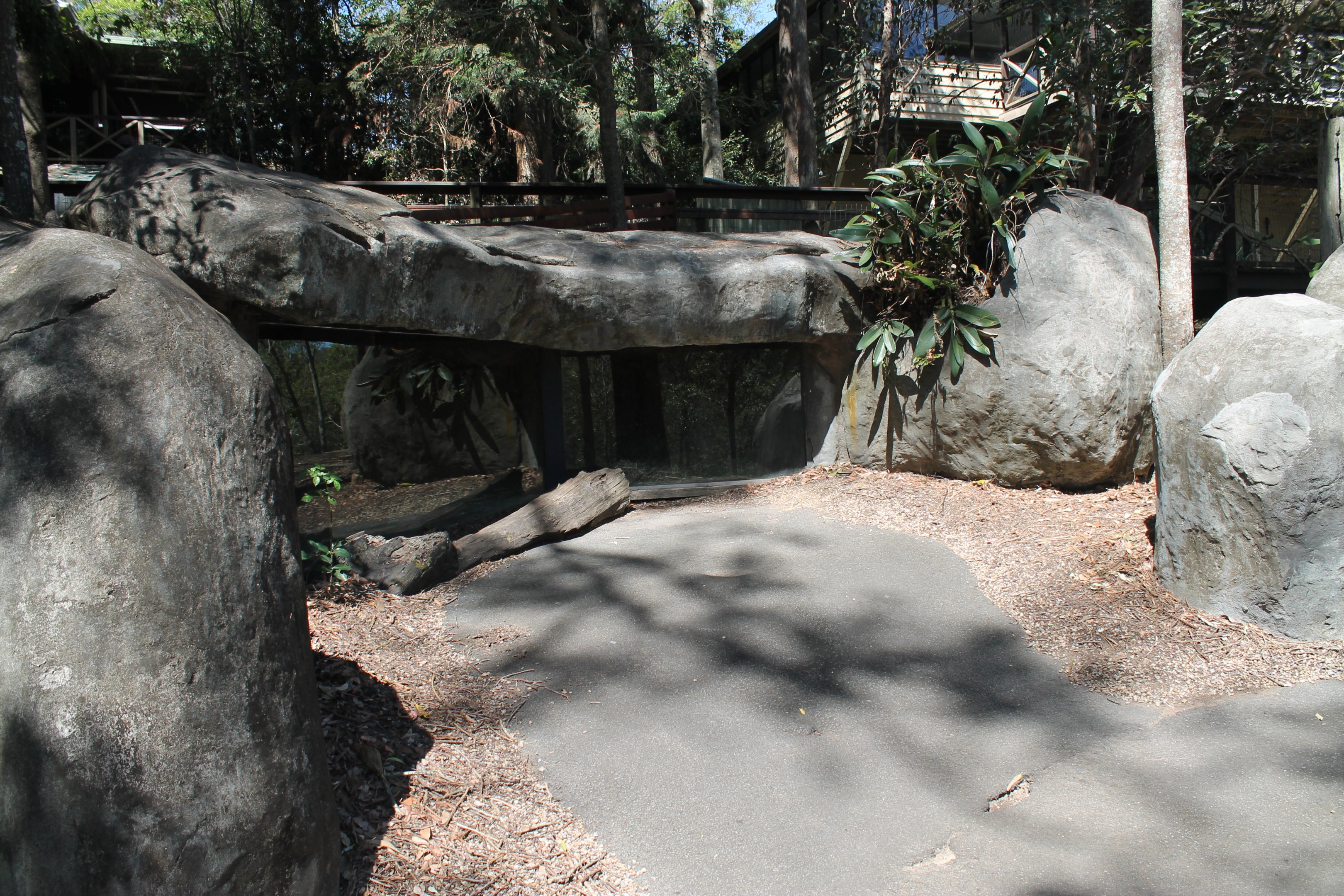 viewing burrow for Common Wombat (Vombatus ursinus)