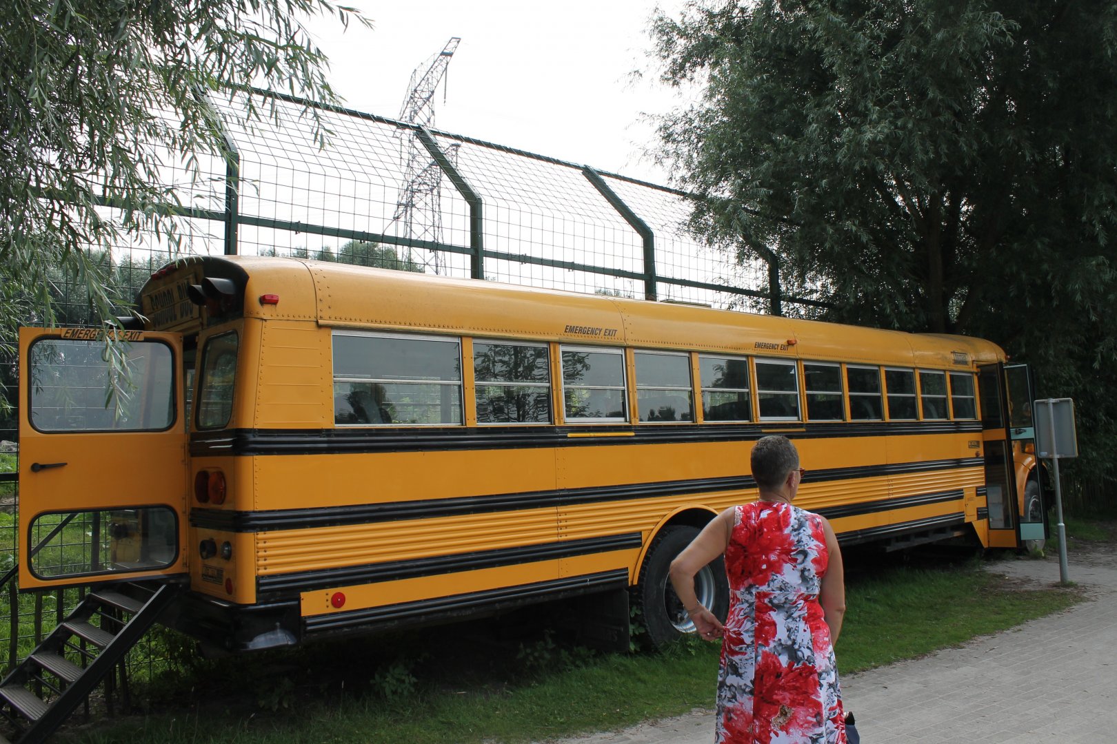 Viewing-bus Polar bear-enclosure