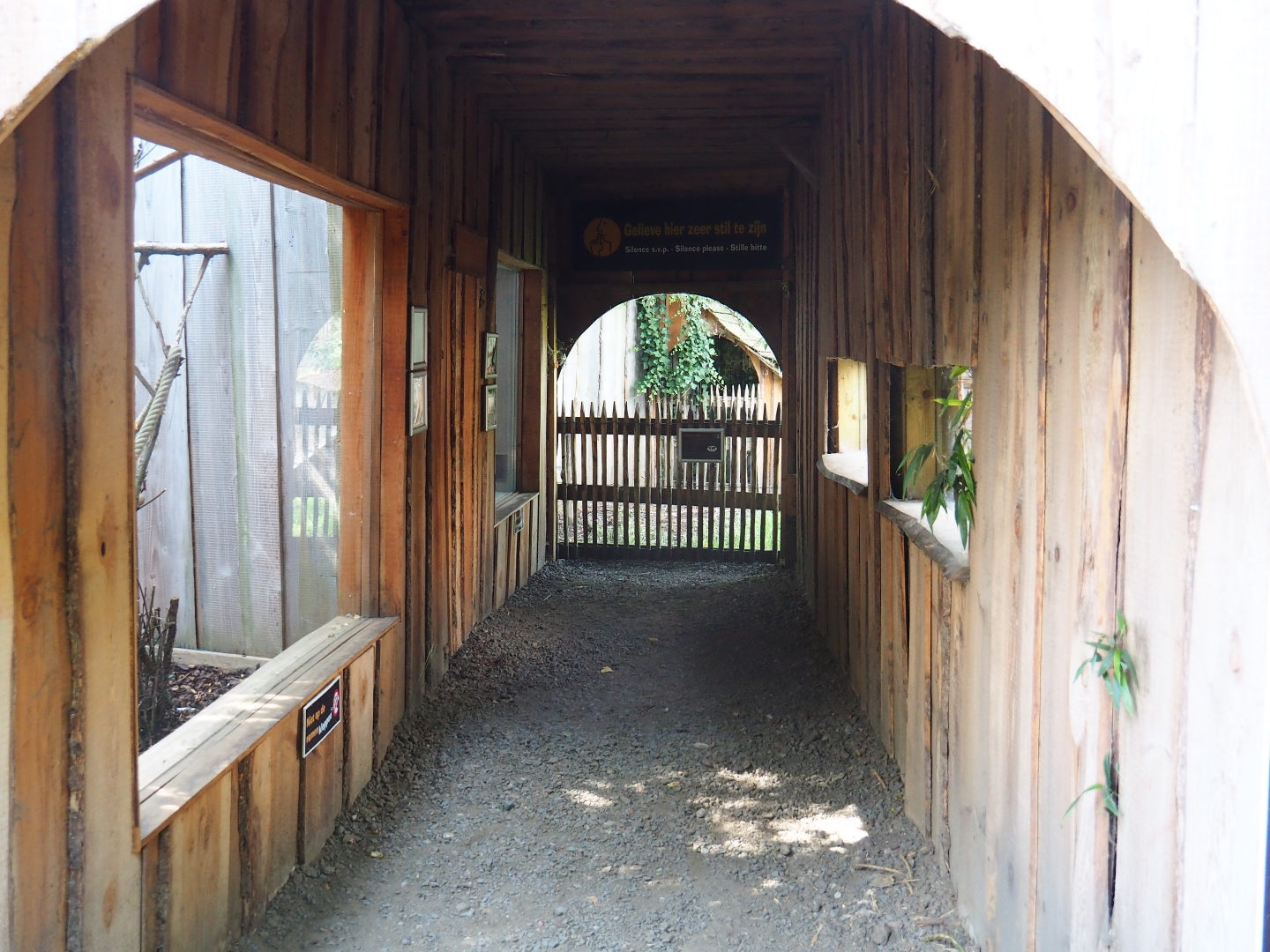 Viewing corridor cotton-top tamarins/Brown capuchins/Muntjacs
