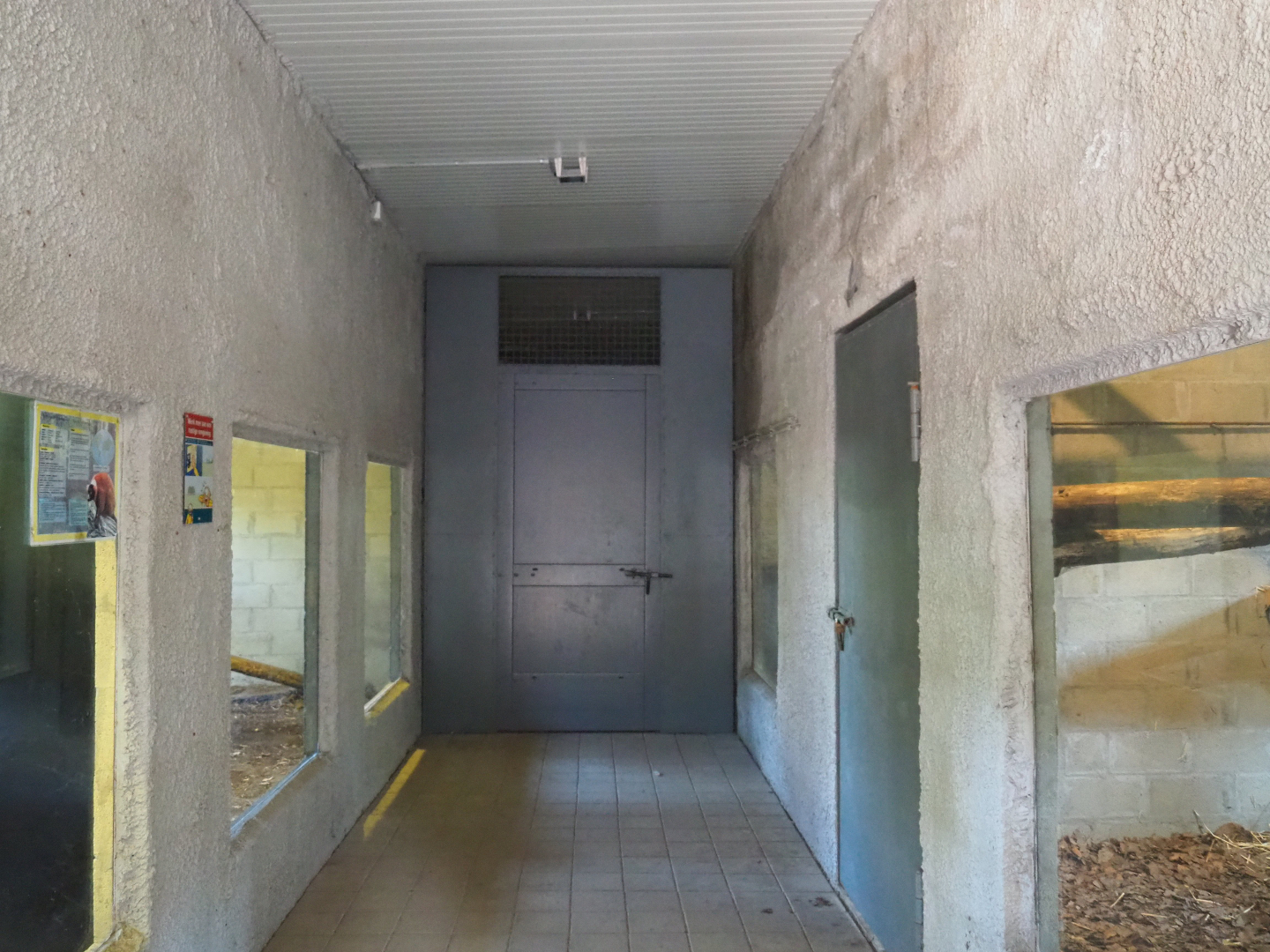 Viewing corridor fossa and red ruffed lemur indoor housing, 2019-08-04