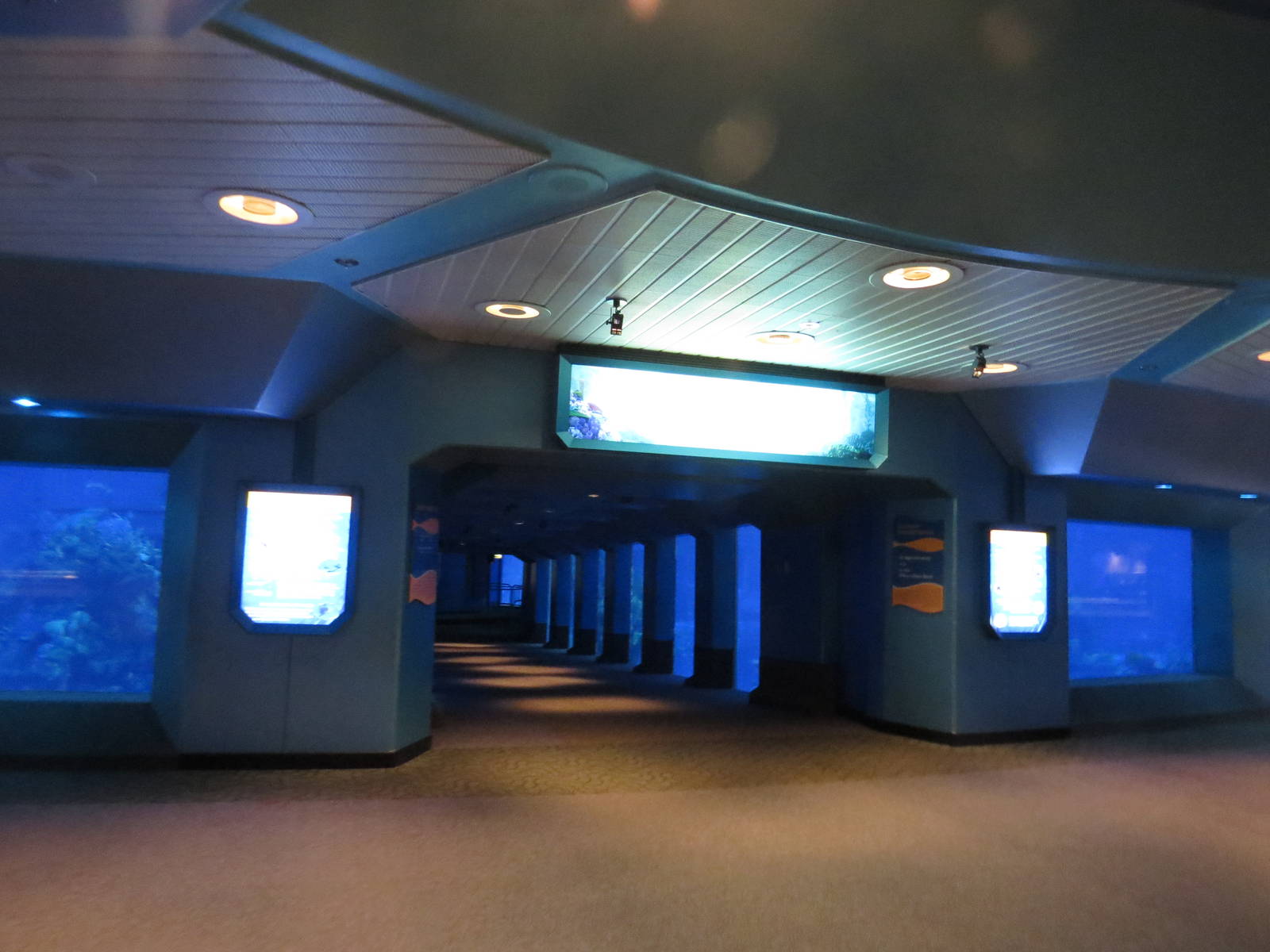 Viewing corridor, March 2015