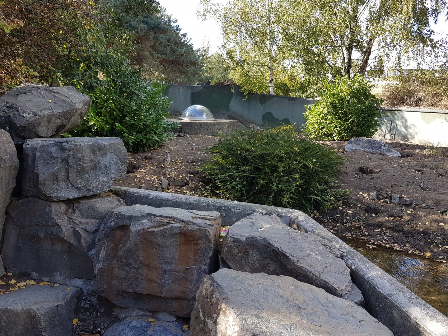 Viewing-cupola Meerkat-enclosure