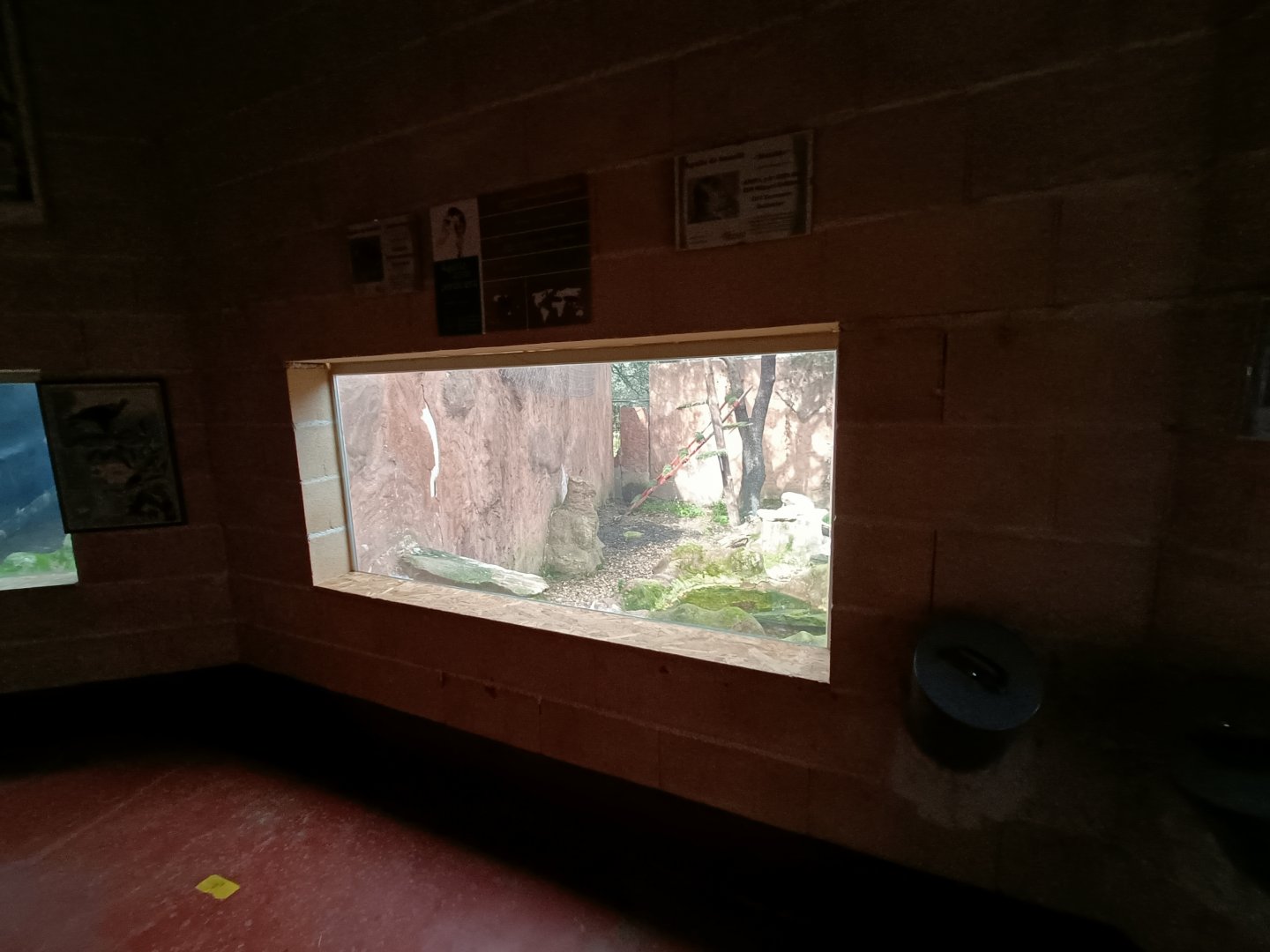 Viewing for Bonelli's eagle exhibit - GREFA