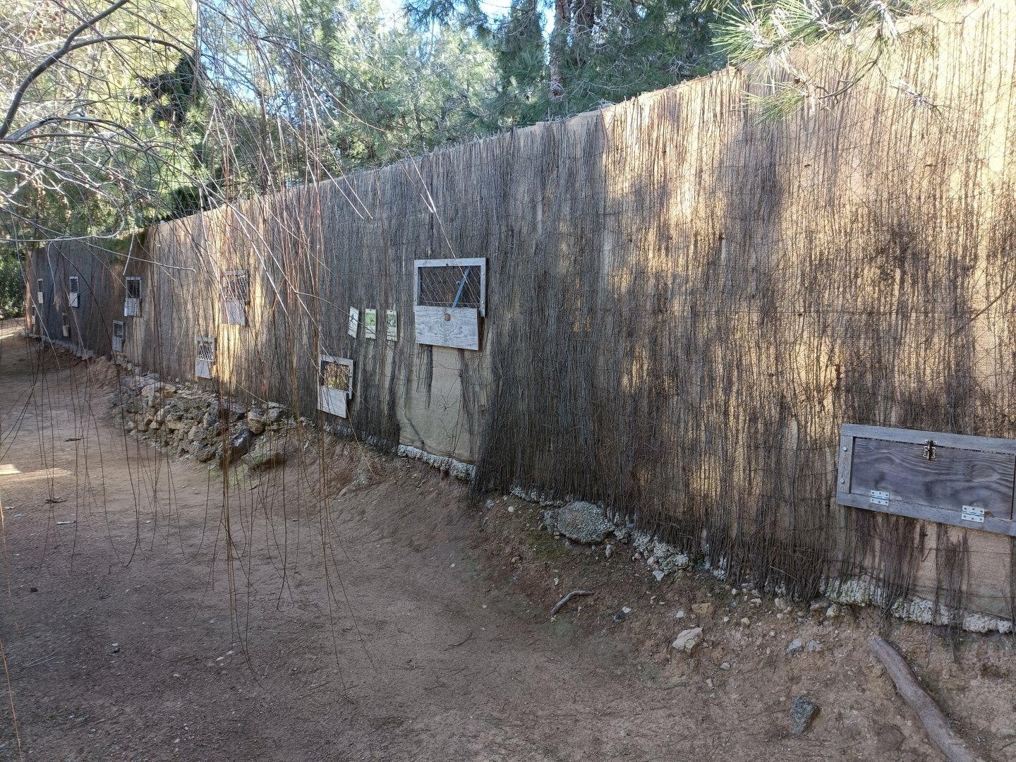 Viewing for brids of prey exhibits - Bioparque La Rocha