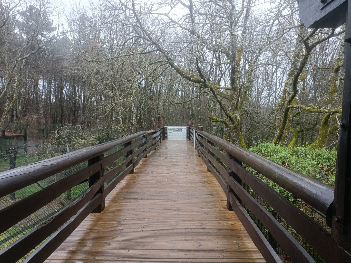 Viewing for canids exhibits -Marcelle Naturaleza