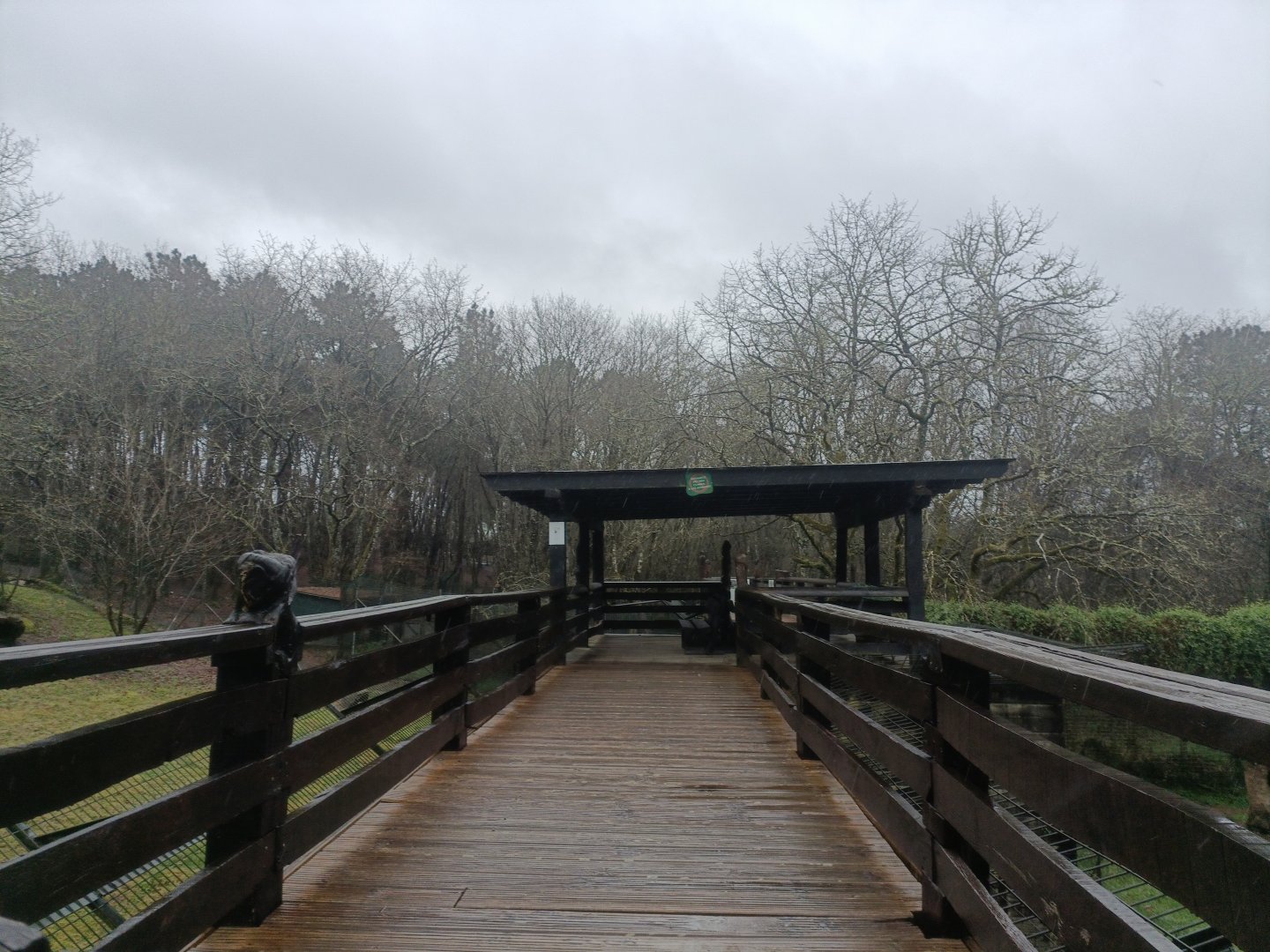 Viewing for carnivore exhibits -Marcelle Naturaleza