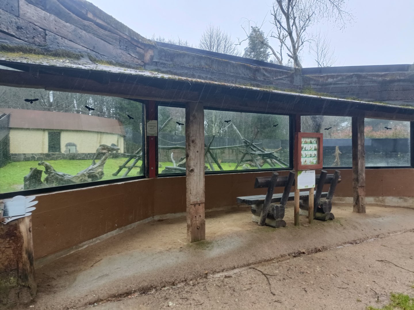Viewing for Crab-eating macaque exhibit -Marcelle Naturaleza