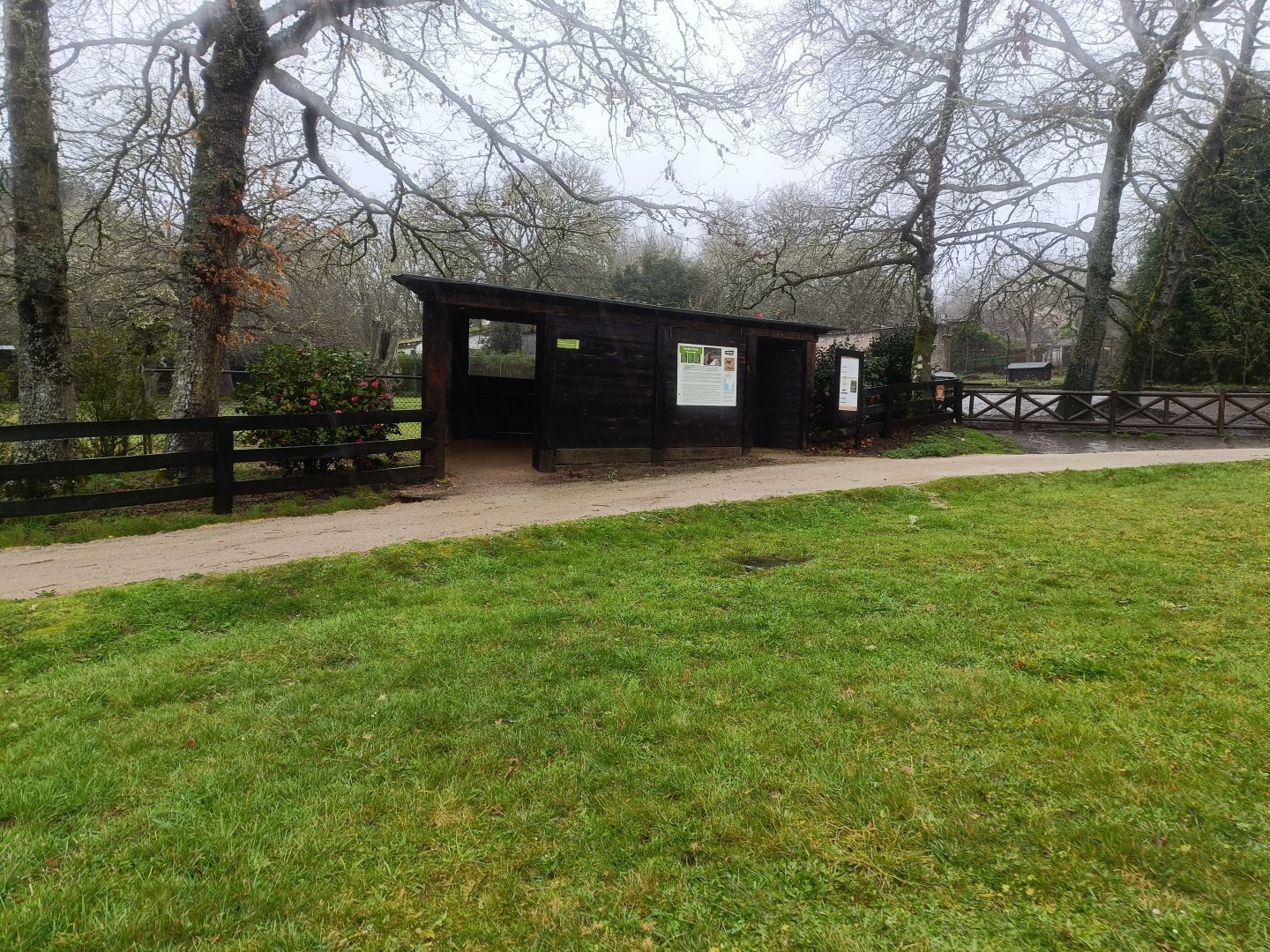 Viewing for dama gazelle exhibit -Marcelle Naturaleza