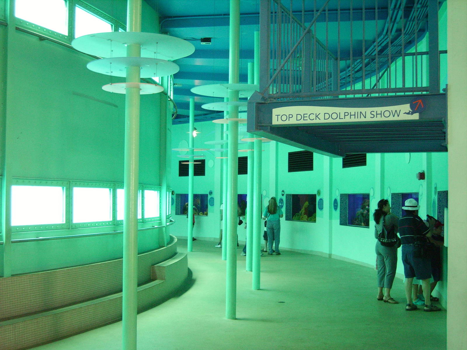 Viewing for Dolphin Tank and Jewel Aquarium Tanks - Miami Seaquarium