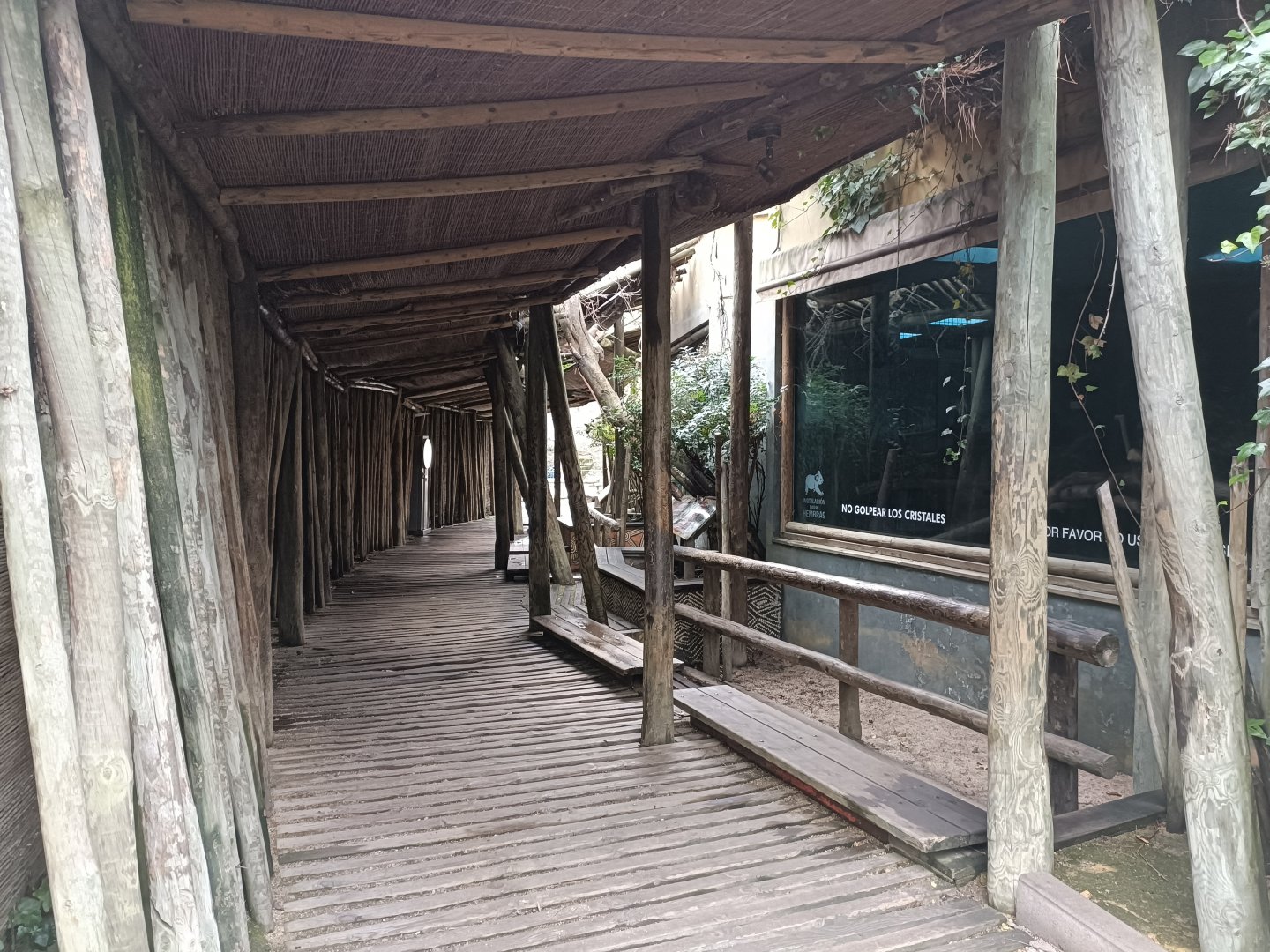 Viewing for indoor koala exhibits