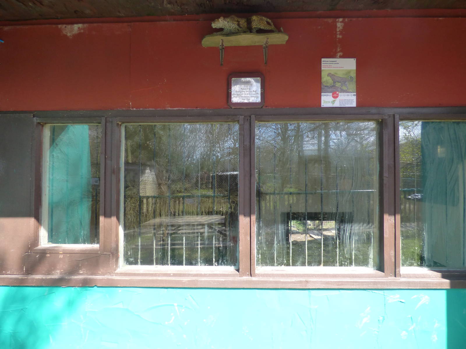 Viewing for Indoor Leopard Enclosure