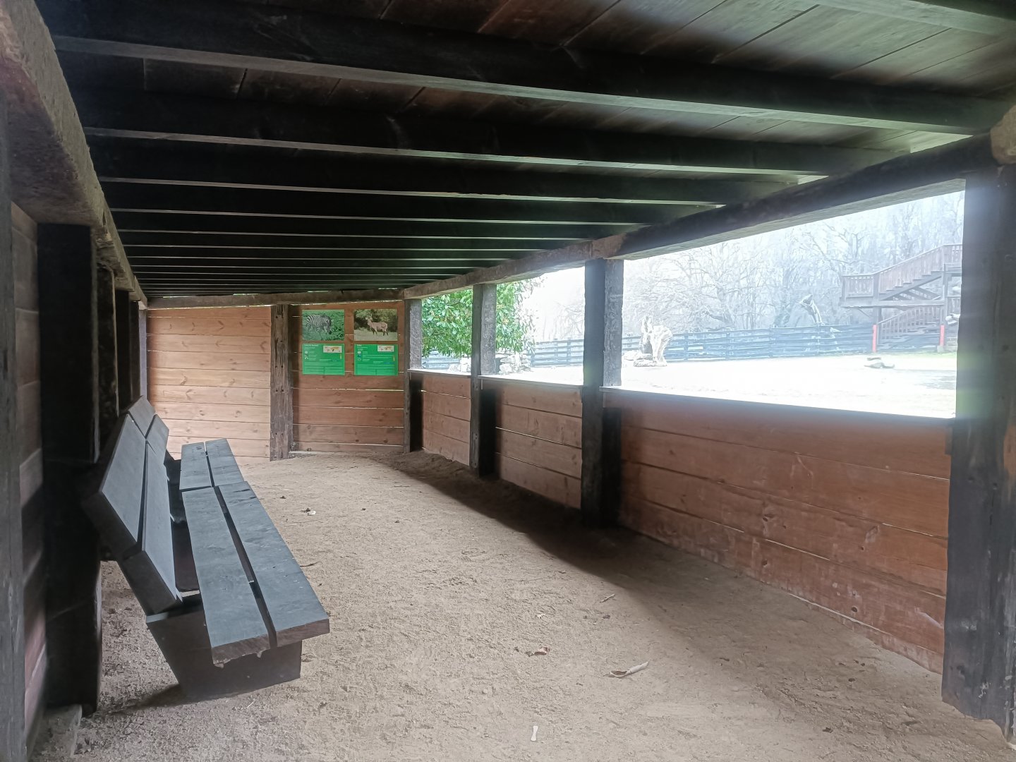 Viewing for Sitatunga and common eland exhibit -Marcelle Naturaleza