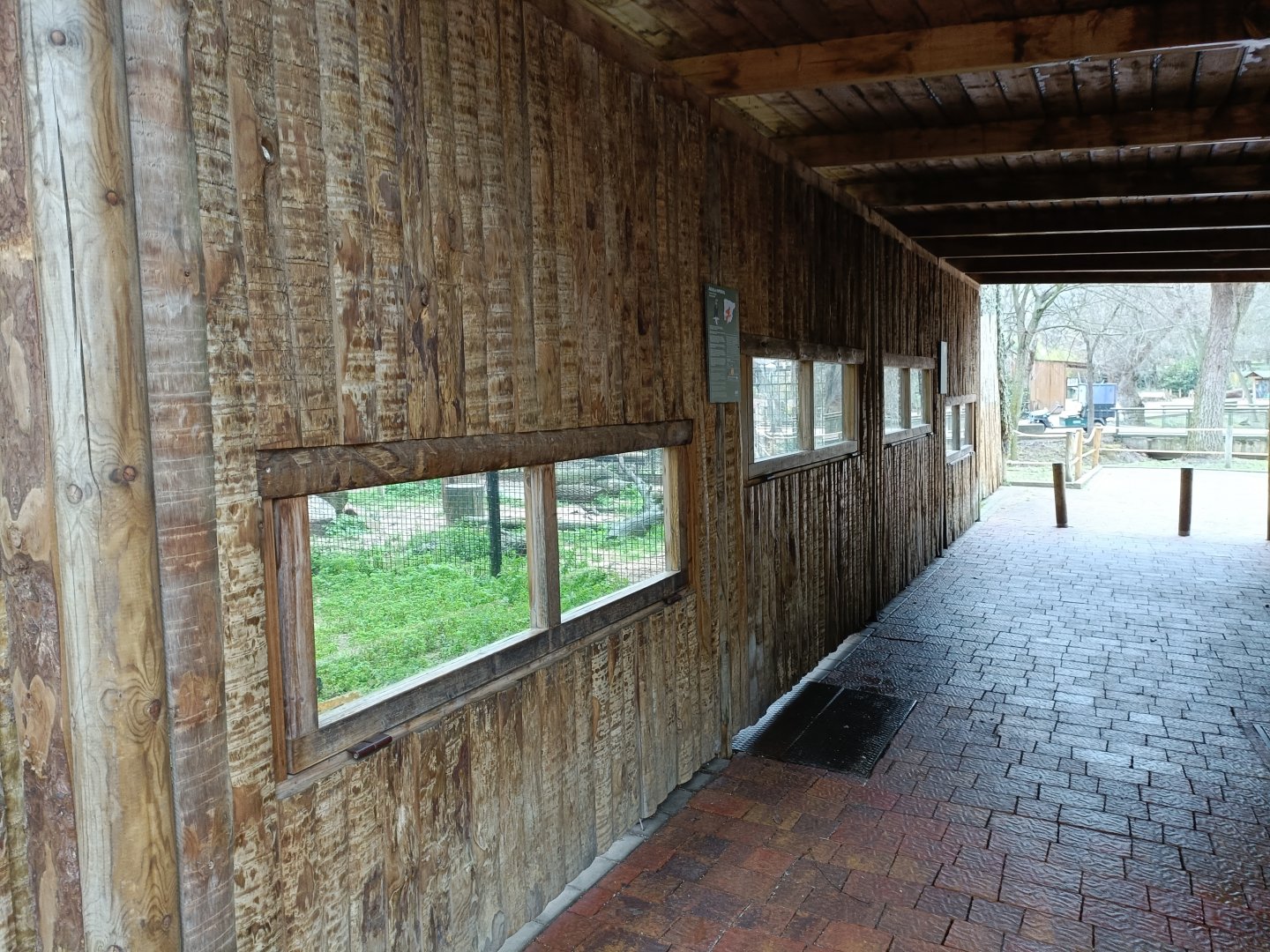 Viewing for spanish imperial eagle and griffon vulture