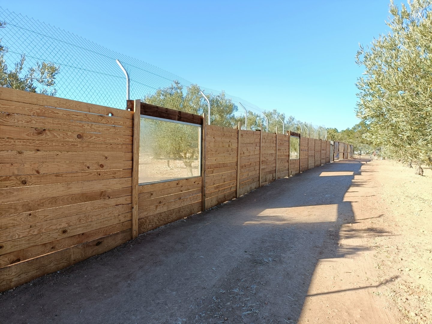 Viewing for wolf exhibit - Bioparque La Rocha