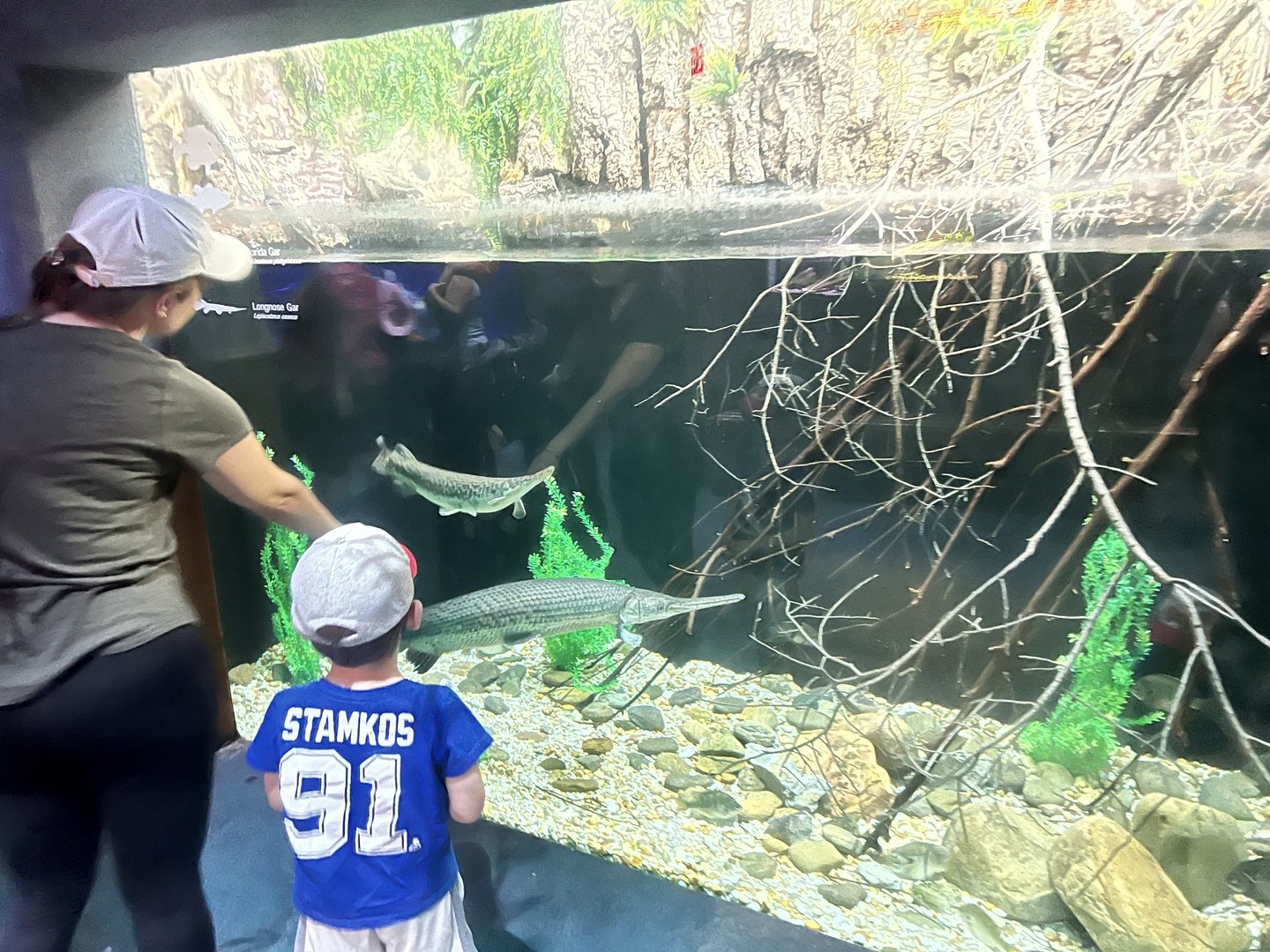 Viewing freshwater fish