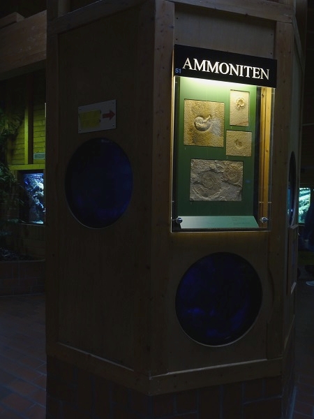 Viewing holes into pinecone fish tank (07/22)