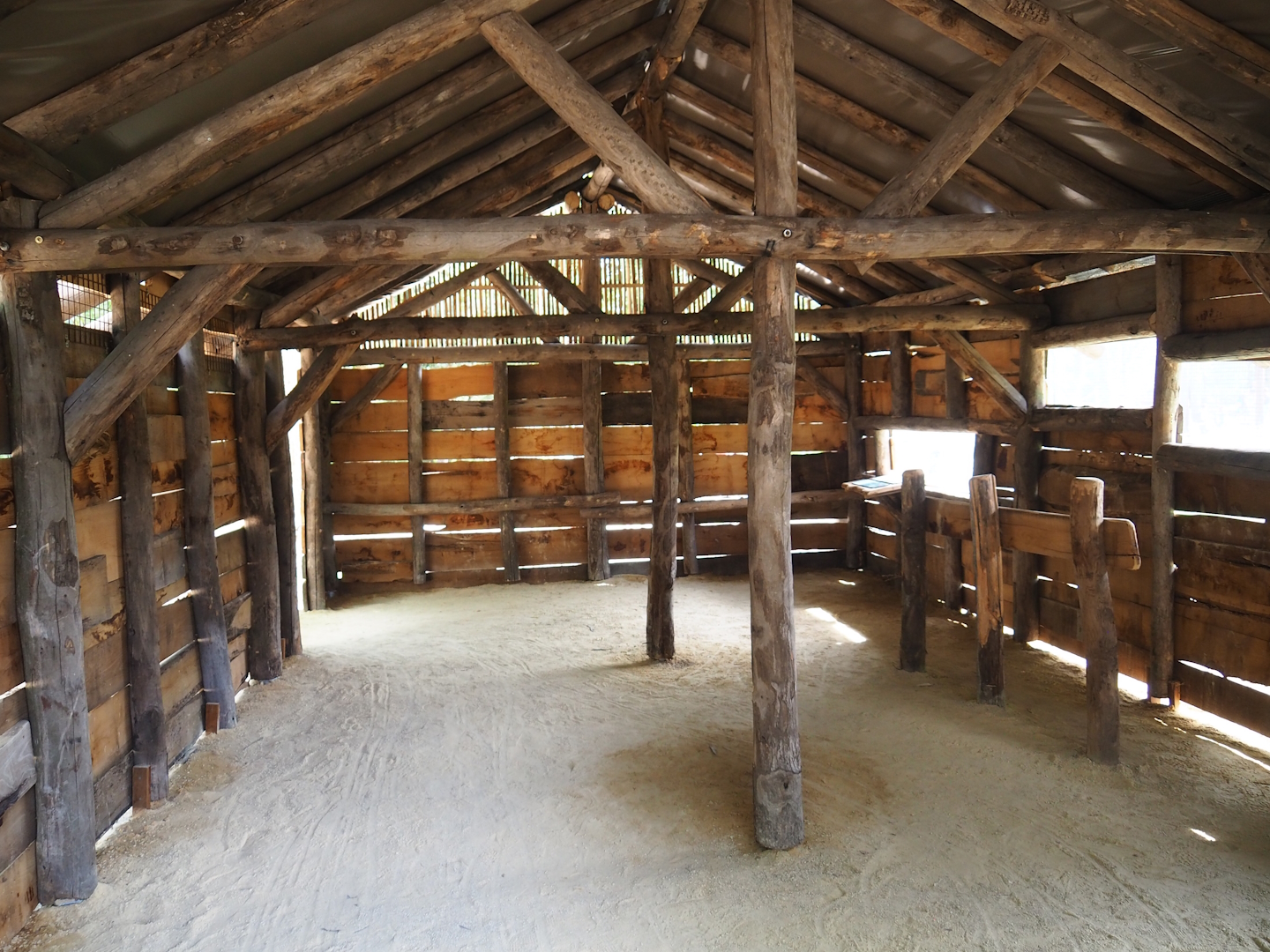 Viewing hut for new Secretary bird and Rüppell's griffon vulture aviary, 2023-08-15