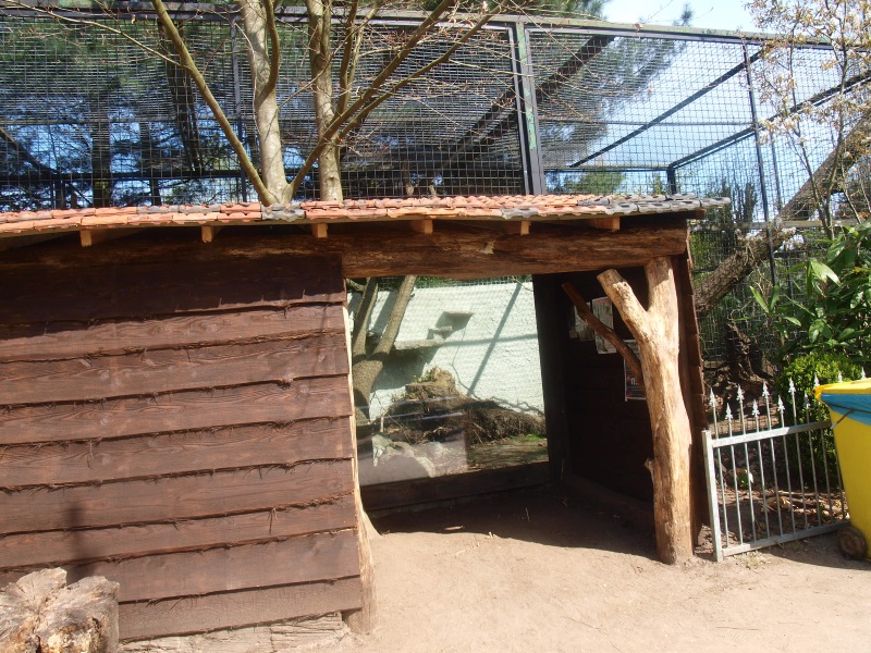 Viewing hut for second clouded leopard cage (April 19th, 2015)