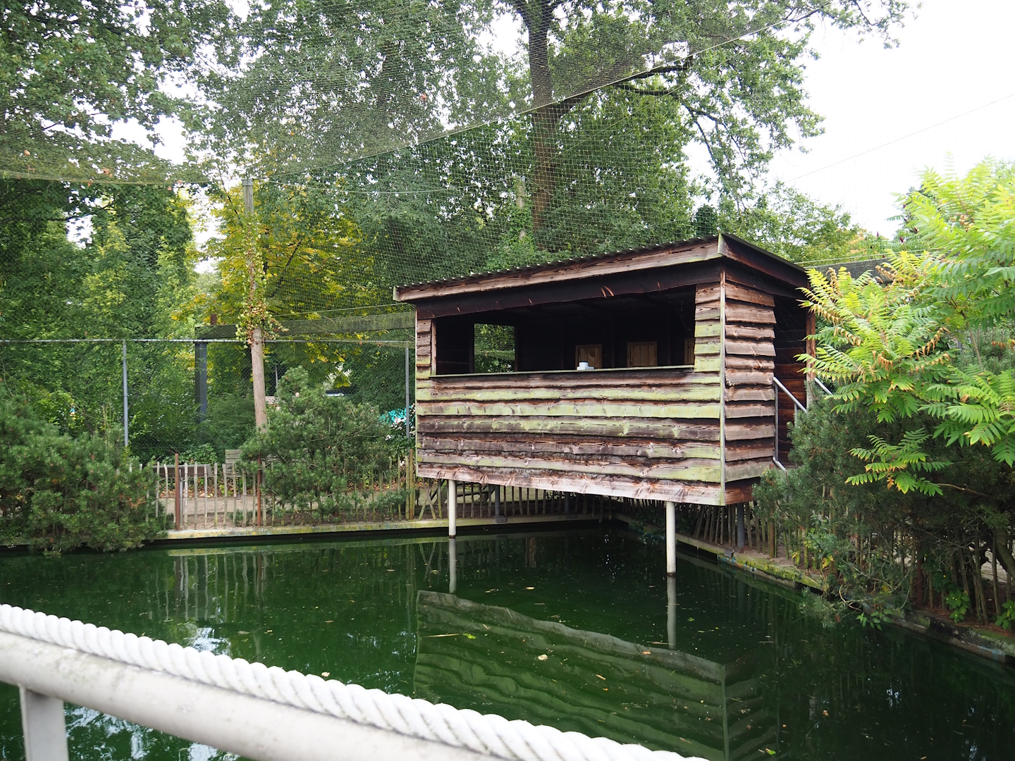 Viewing hut in Wadden aviary with Harbor seals and Great cormorants, 2023-08-17