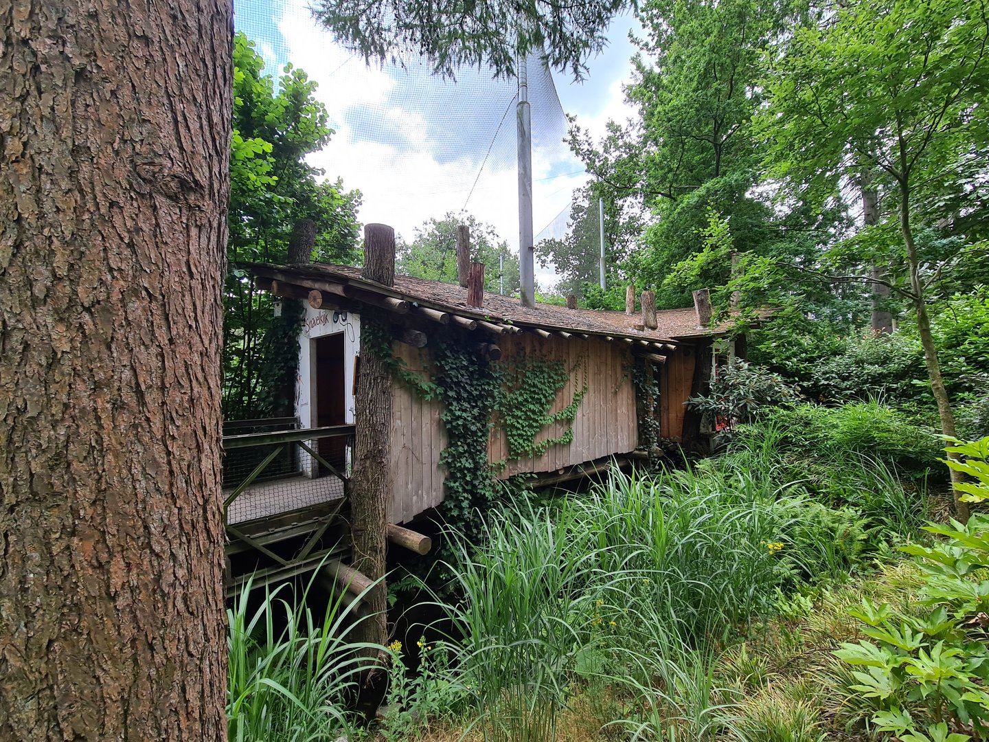 Viewing hut into giant aviary
