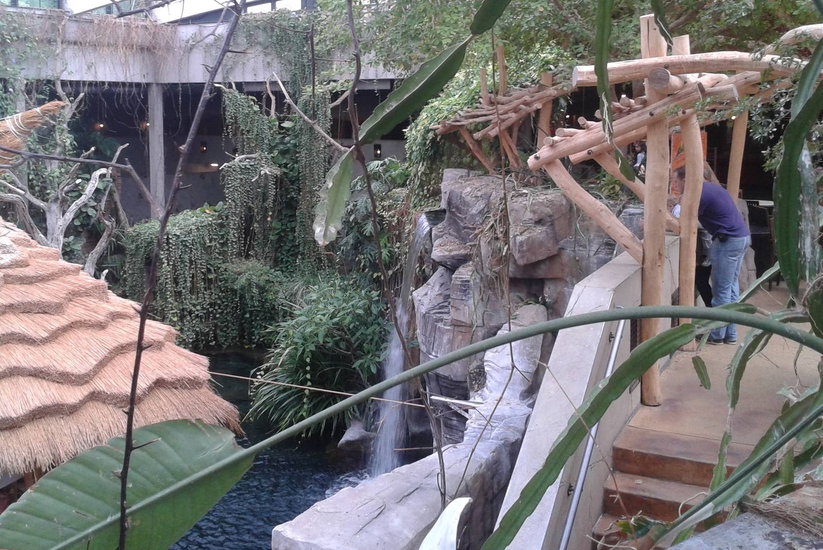 Viewing in the Nile crocodile enclosure