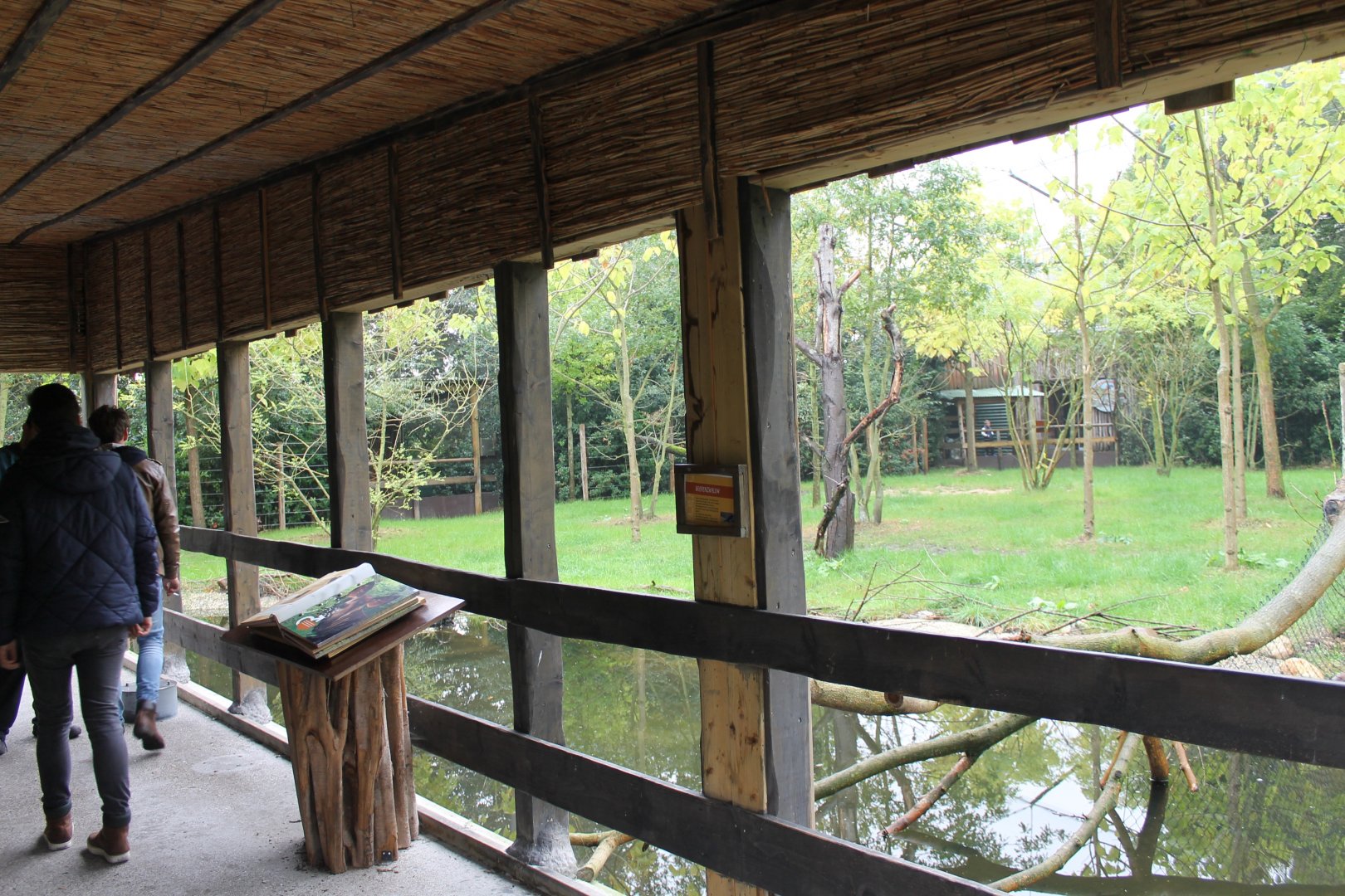 Viewing - Info Shelter Okapi