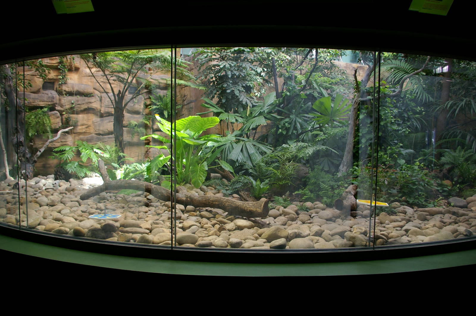 viewing into ground level of the butterfly house