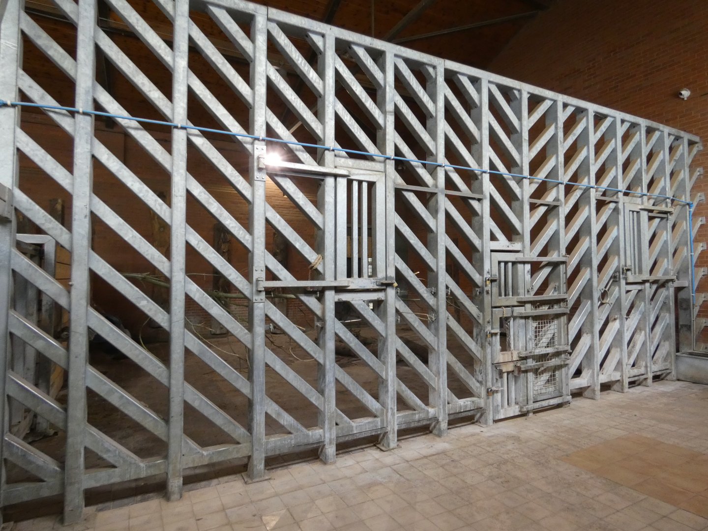 Viewing into part of black rhino indoors