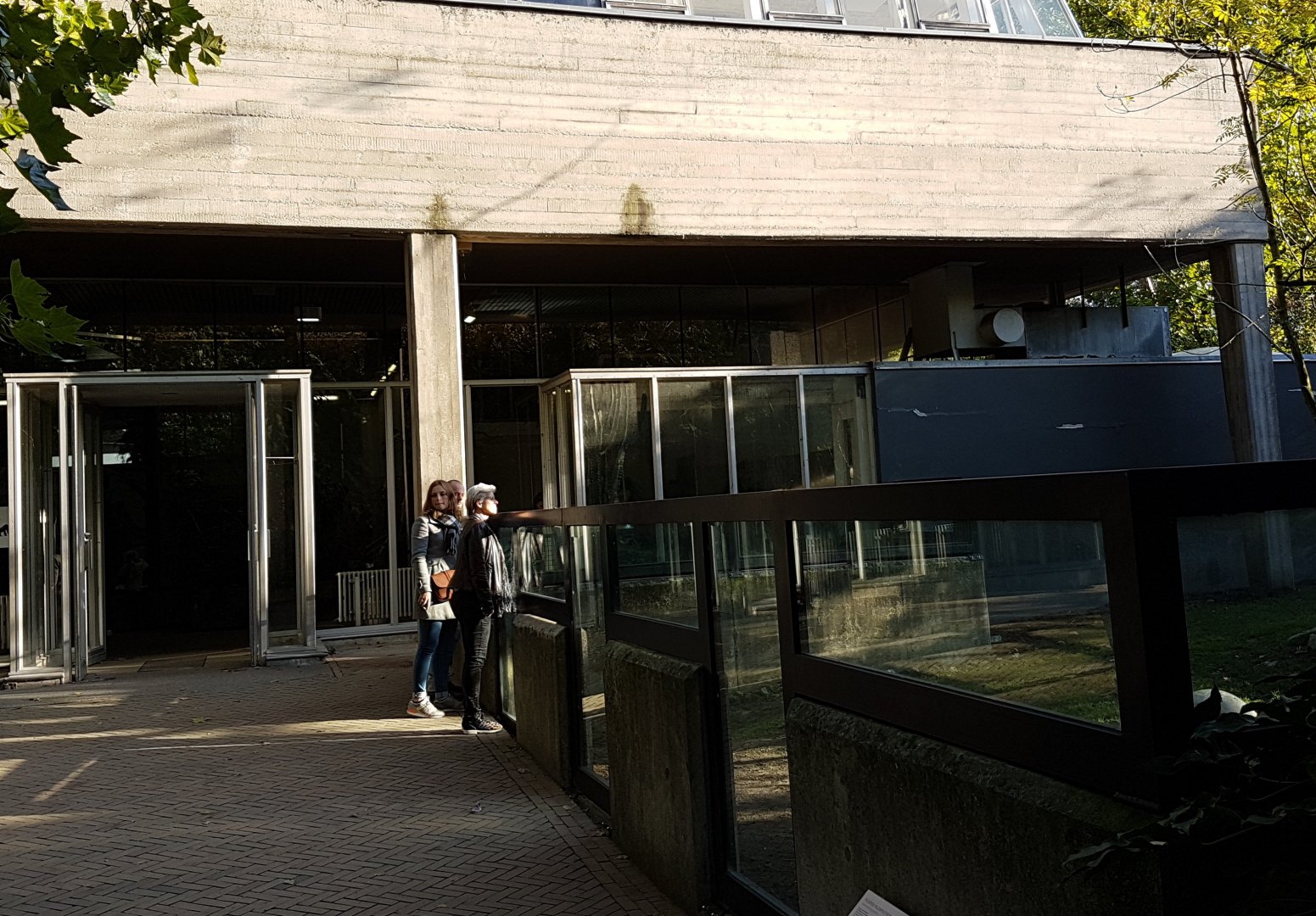 Viewing into the Galapagos tortoise outdoor-enclosure