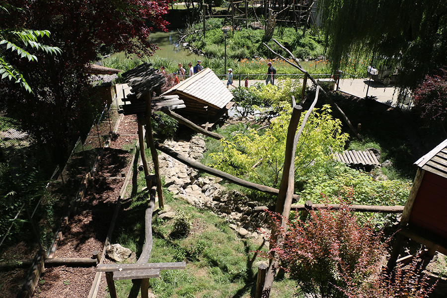 Viewing issues at Beauval: Cross-viewing