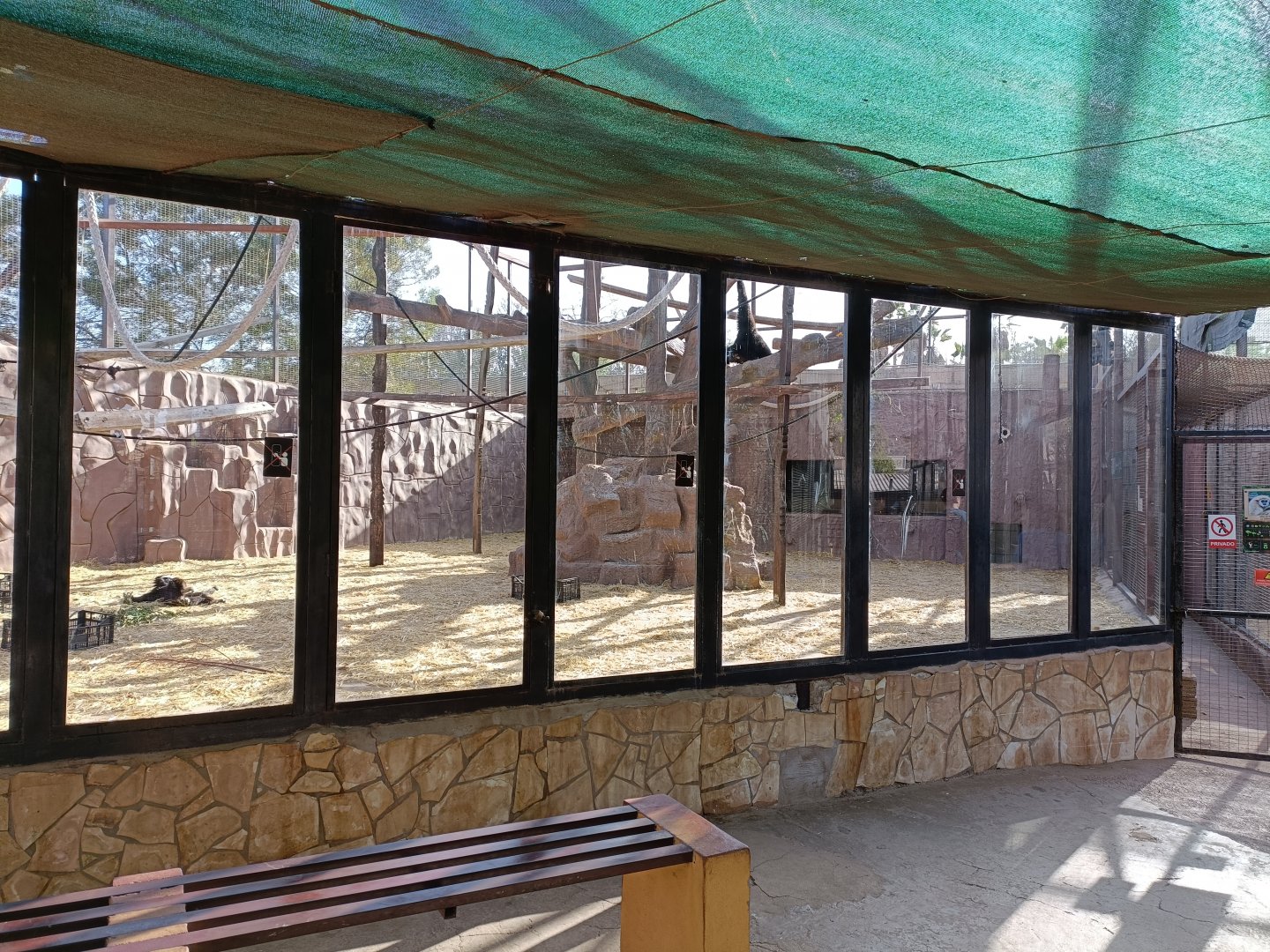 Viewing of Lar gibbon exhibit