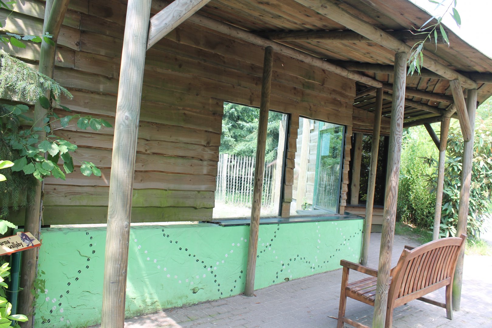 Viewing-place Parma wallaby