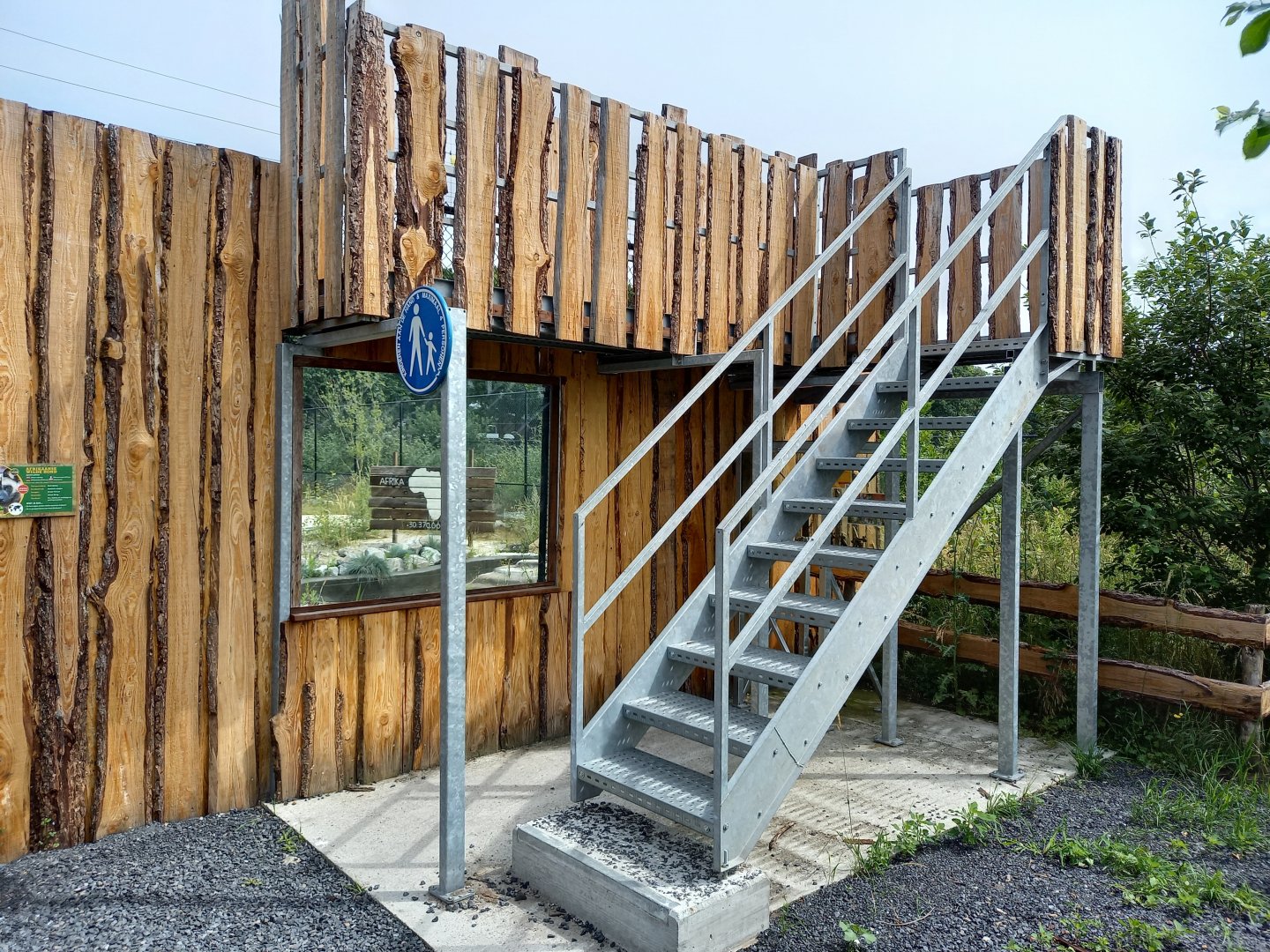 Viewing platform African wild dog