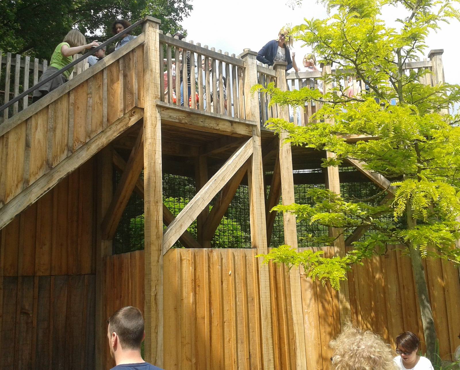 Viewing platform lions