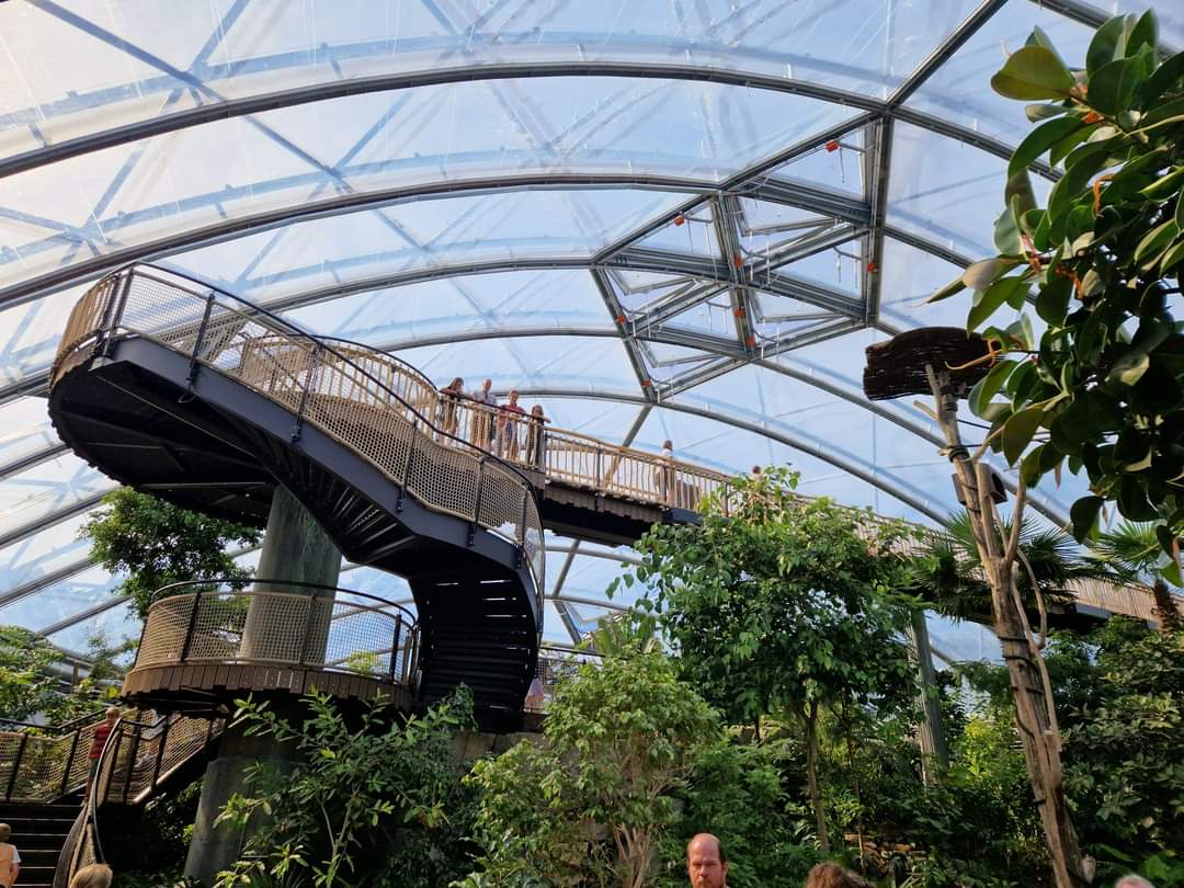 Viewing platform, Meranti hall