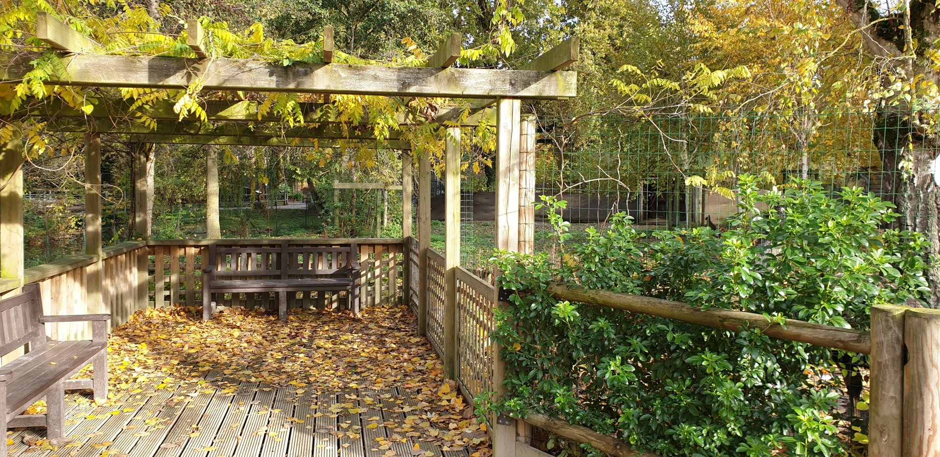 Viewing-platform Squirrel monkey island
