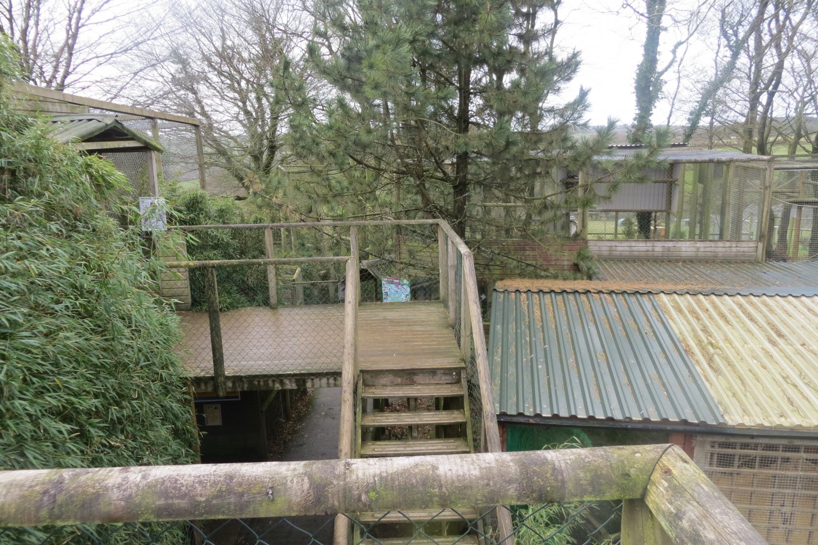 Viewing platforms for 'Exmoor Beast' Black leopards 040319