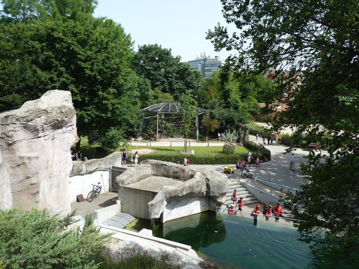 Viewing point above penguin pool