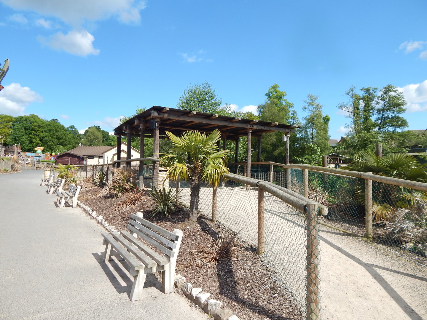 Viewing Point Common Hippopotamus enclosure 150523