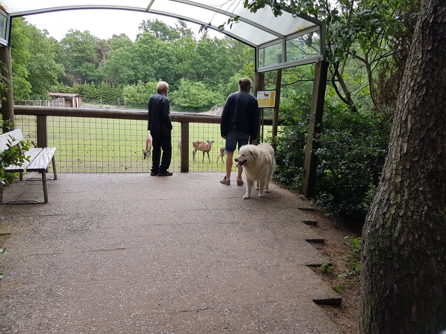 Viewing-point Deer-enclosure