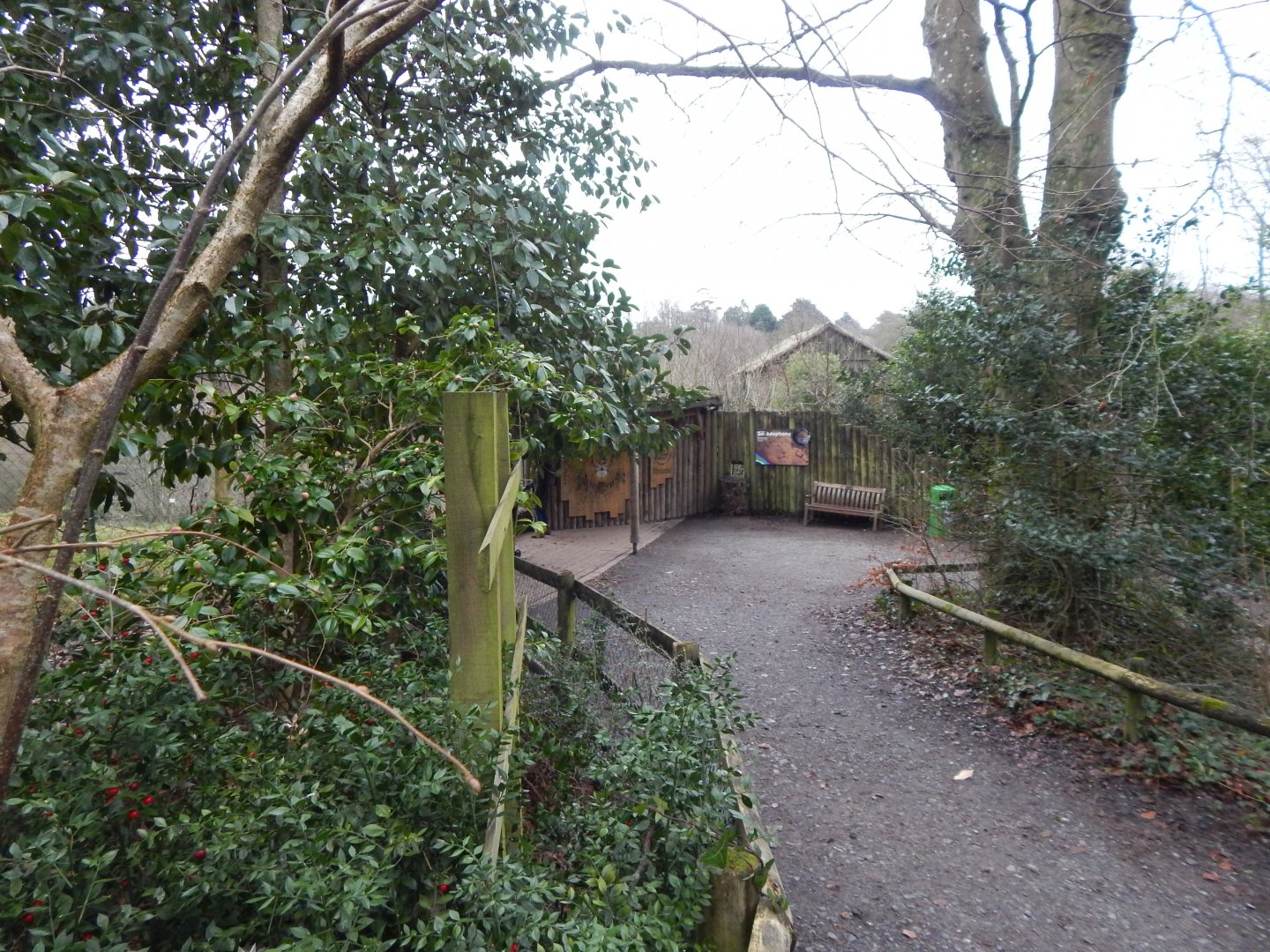 Viewing point for Lion enclosure 050224