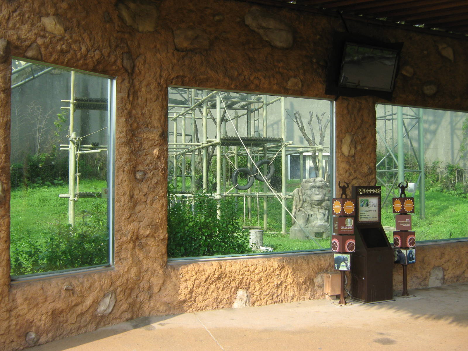 viewing point for the chimp enclosure