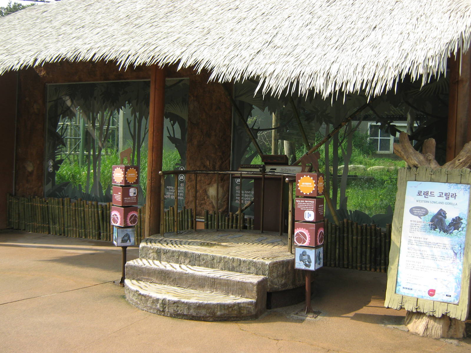 viewing point for the gorilla enclosure