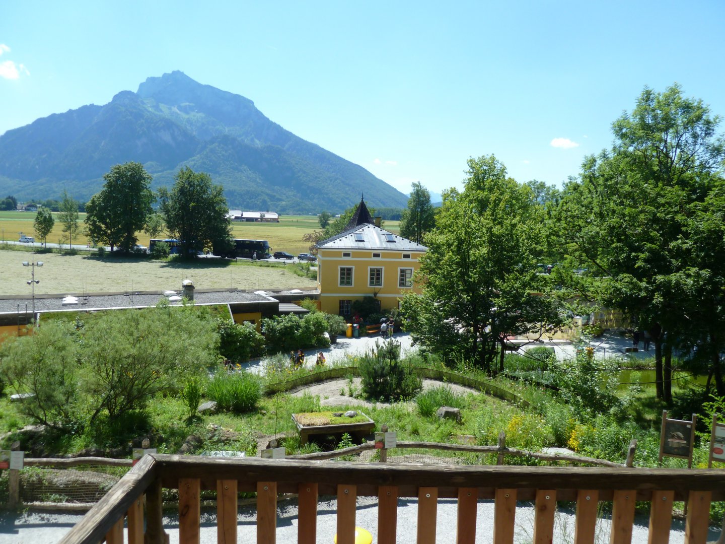 Viewing point from wolf enclosure