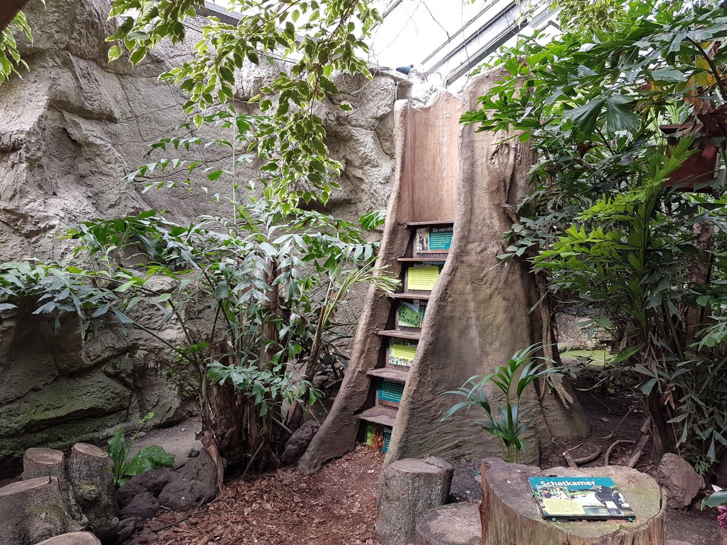 Viewing-point In Philippine Hall