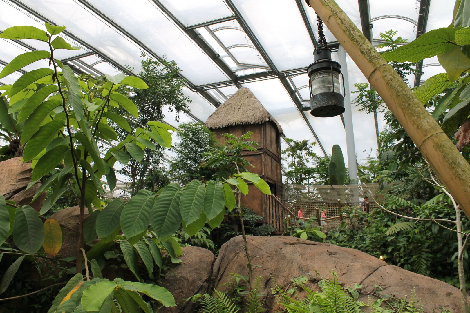 Viewing point in the Tropical Hall