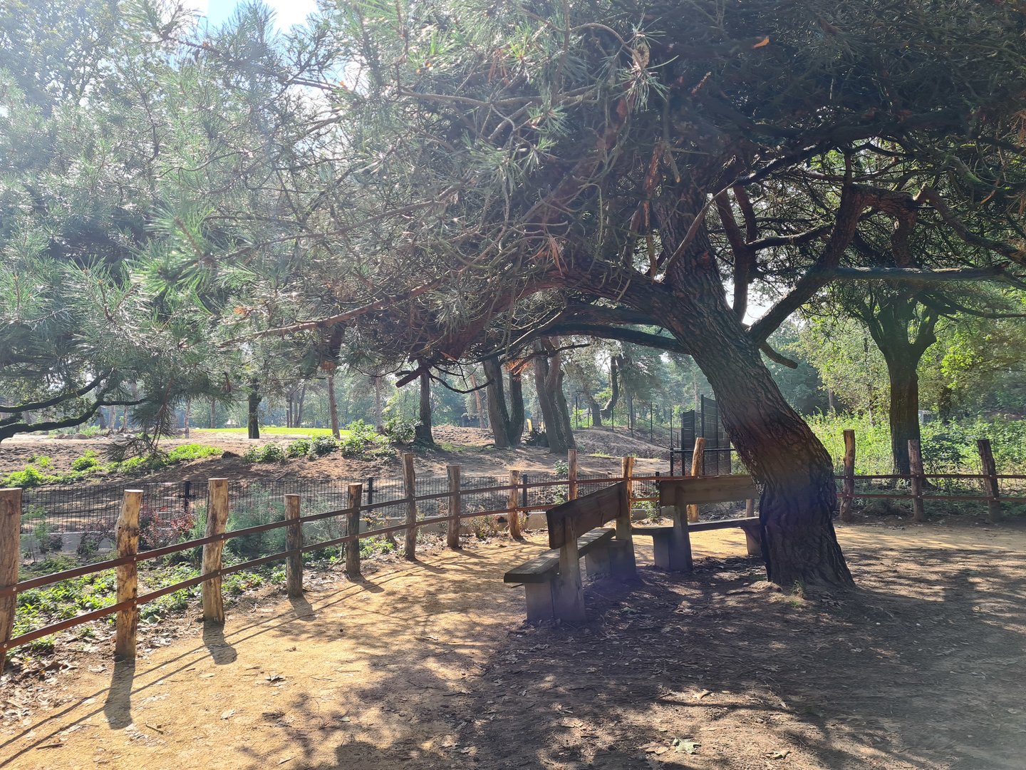 Viewing point into new Spotted hyena enclosure