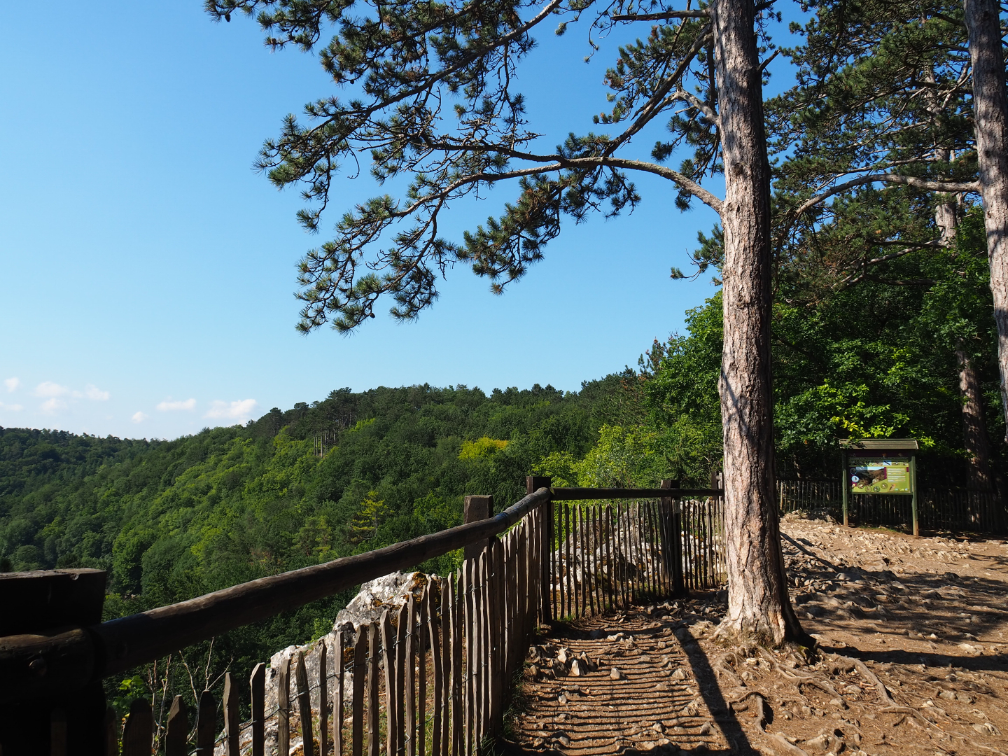 Viewing point over Lesse valley and lower part of the wildlife park, 2020-07-12