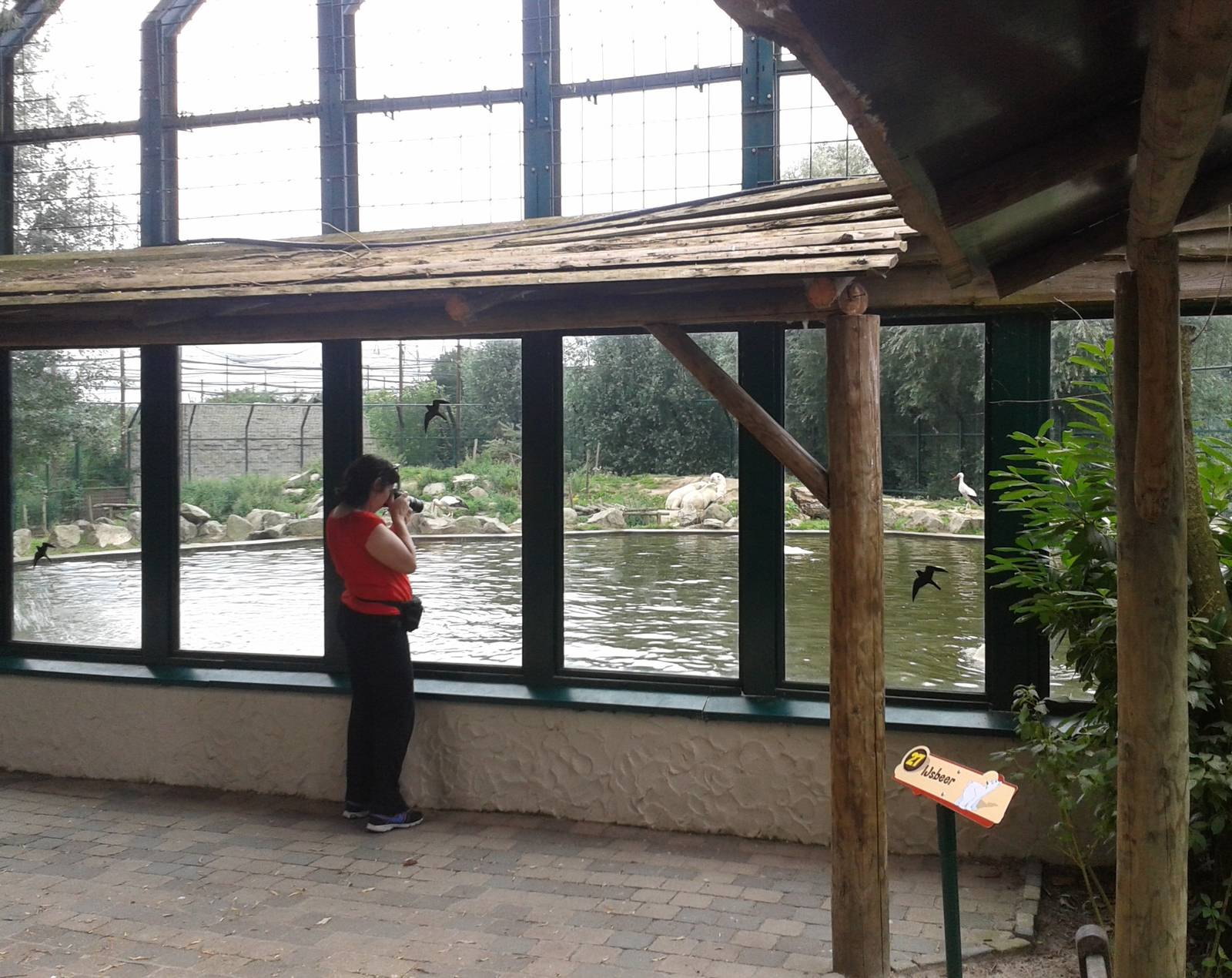 Viewing point Polar bears